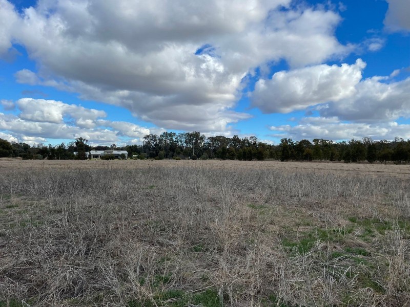215 North Barham Road, Barham NSW 2732