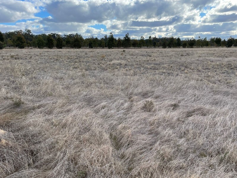 215 North Barham Road, Barham NSW 2732