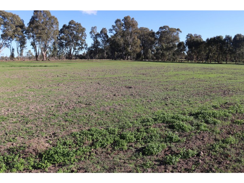 11 Barton Place, Cohuna VIC 3568