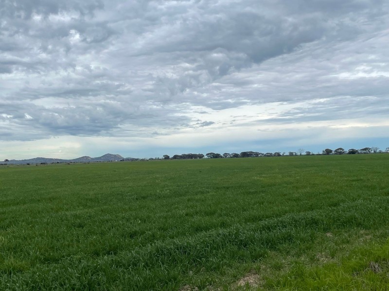 01 Churches Road, Leitchville VIC 3567