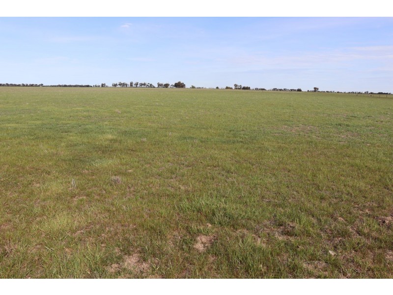 8499 Murray Valley Highway, Kerang East VIC 3579