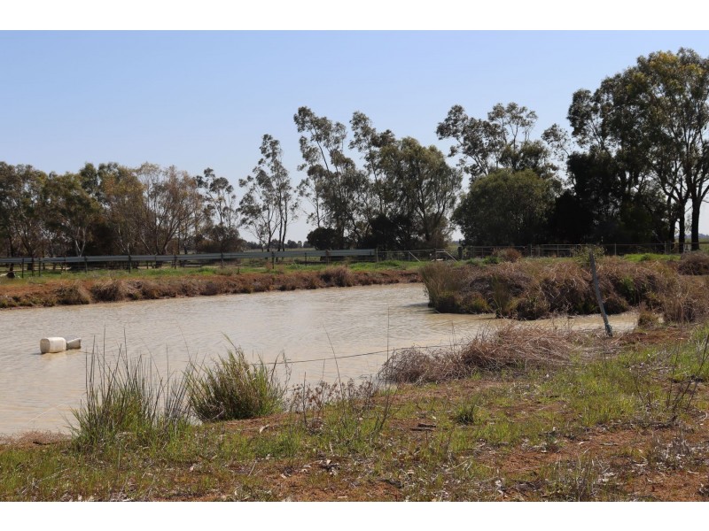 13 McPhail Road, Tragowel VIC 3579