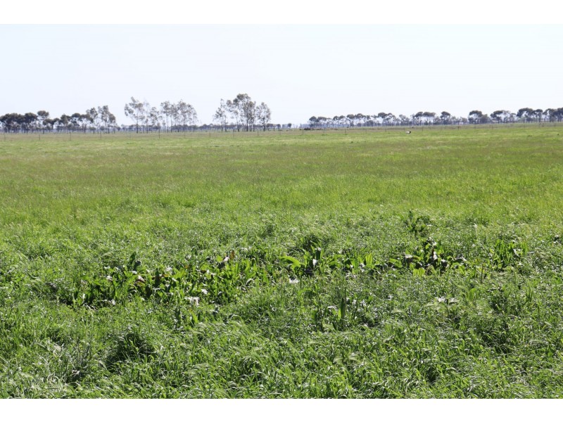 13 McPhail Road, Tragowel VIC 3579