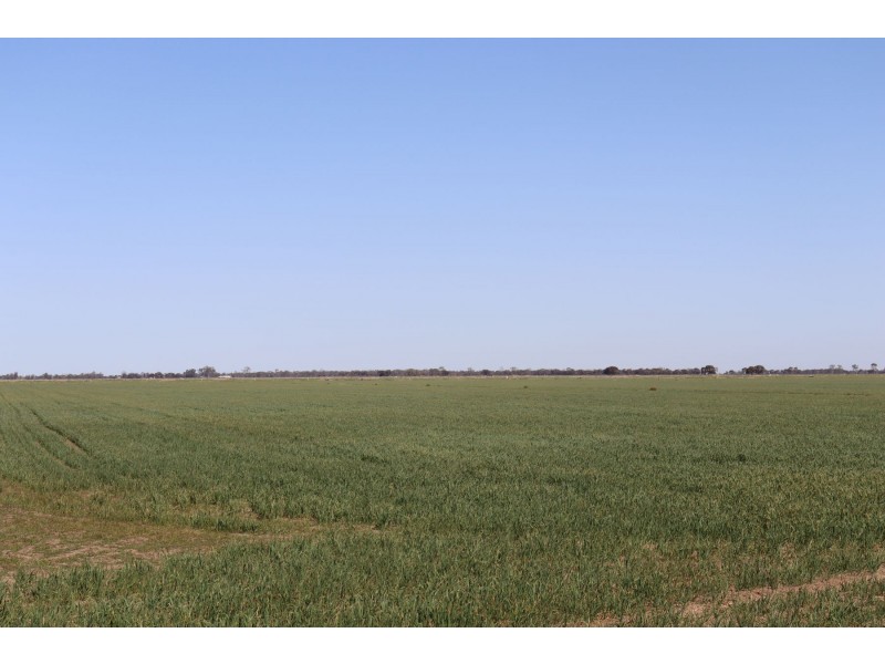 13 McPhail Road, Tragowel VIC 3579