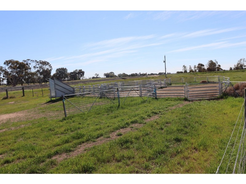 13 McPhail Road, Tragowel VIC 3579