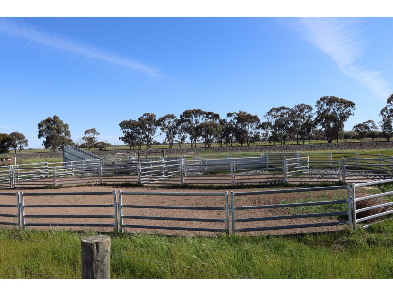 13 McPhail Road, Tragowel VIC 3579