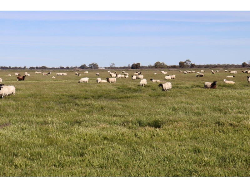 13 McPhail Road, Tragowel VIC 3579