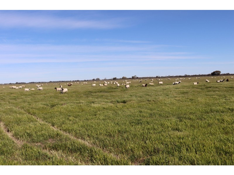 13 McPhail Road, Tragowel VIC 3579