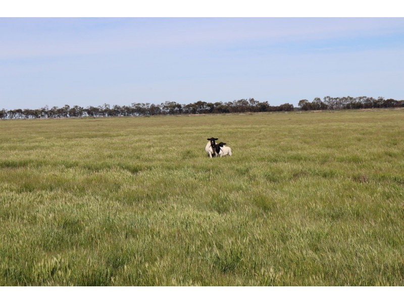 13 McPhail Road, Tragowel VIC 3579