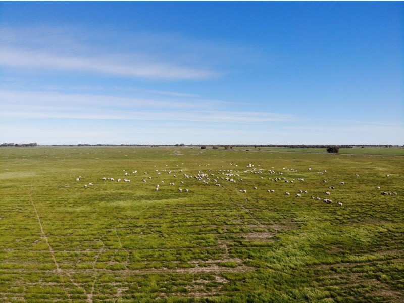 13 McPhail Road, Tragowel VIC 3579