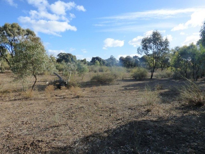 Lot 19 &/382 Greenhills Lane, Barham NSW 2732