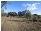 Lot 19 &/382 Greenhills Lane, Barham NSW 2732