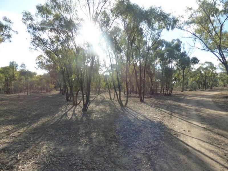 Lot 19 &/382 Greenhills Lane, Barham NSW 2732