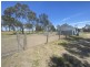 1408 Kerang-Murrabit Road, Westby VIC 3579