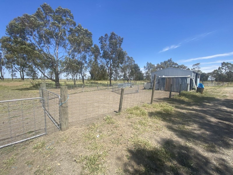 1408 Kerang-Murrabit Road, Westby VIC 3579