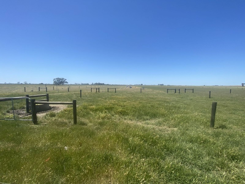 1408 Kerang-Murrabit Road, Westby VIC 3579