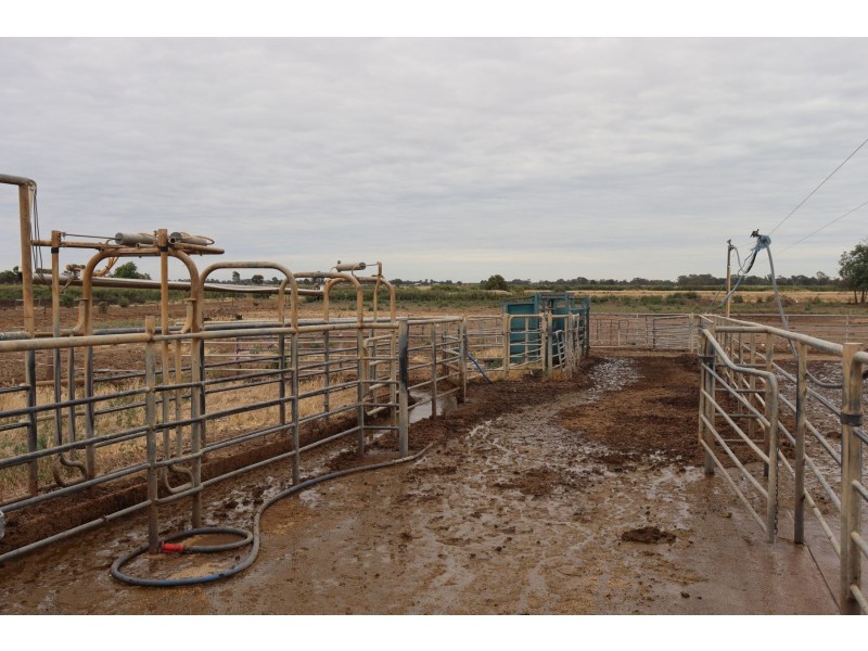 391 Mead Road, Mead VIC 3568