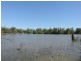 00 Settlers Key, Cohuna VIC 3568
