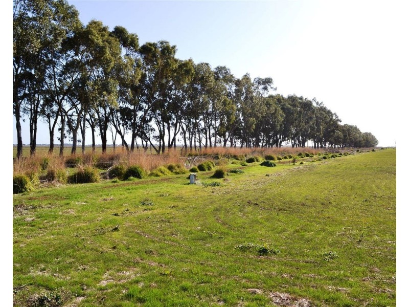 00 Pleasance Road, Tragowel VIC 3579