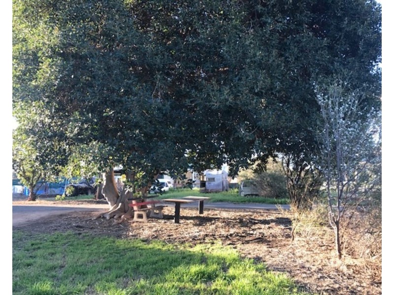 28 Brougham Street, Moulamein NSW 2733