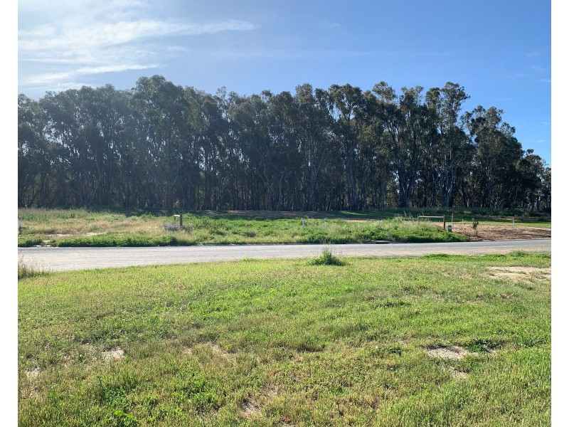 10 Armstrong Drive, Barham NSW 2732