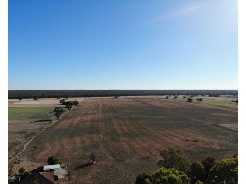 371 Cohuna Island Road, Cohuna VIC 3568