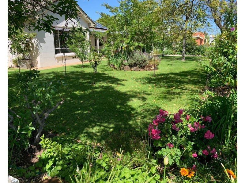 51 Murray Street, Barham NSW 2732