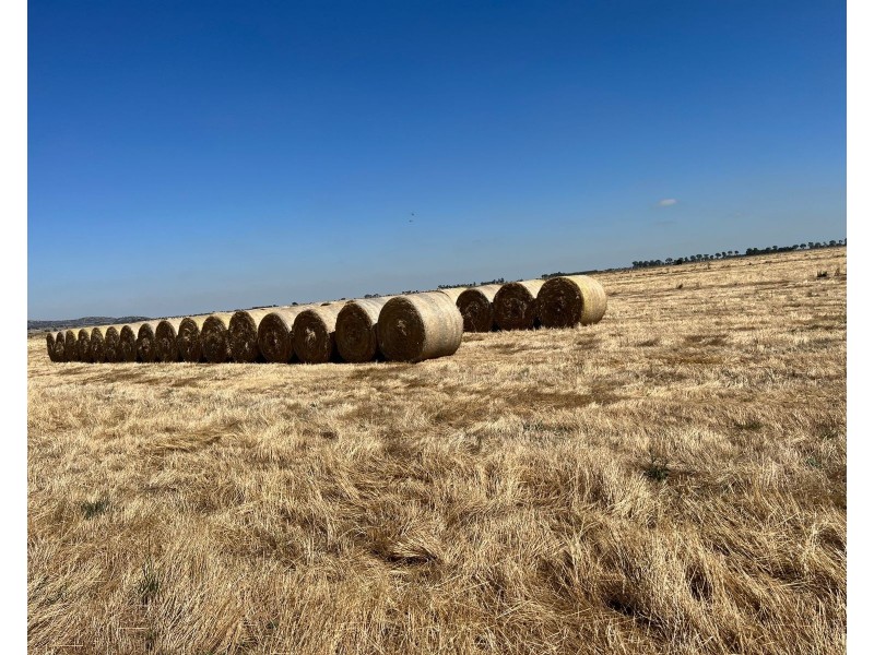 00 MITIAMO – KOW SWAMP ROAD, Pyramid Hill VIC 3575