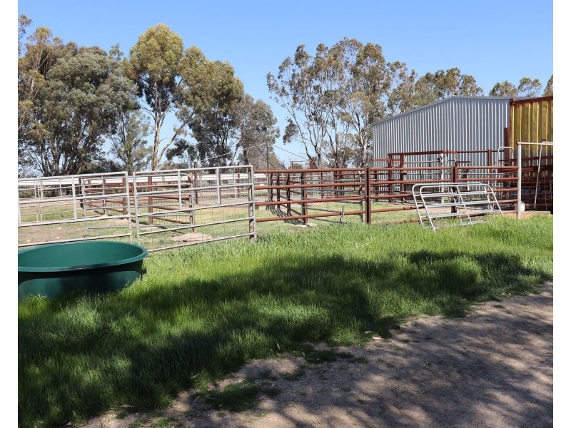 13 McPhail Road, Tragowel VIC 3579