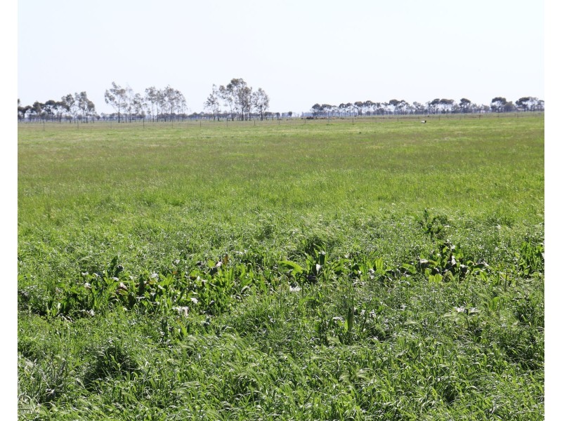 13 McPhail Road, Tragowel VIC 3579