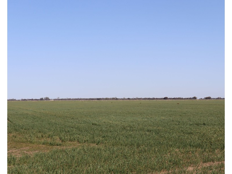 13 McPhail Road, Tragowel VIC 3579