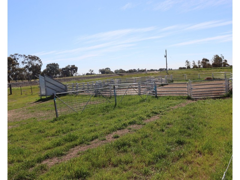 13 McPhail Road, Tragowel VIC 3579