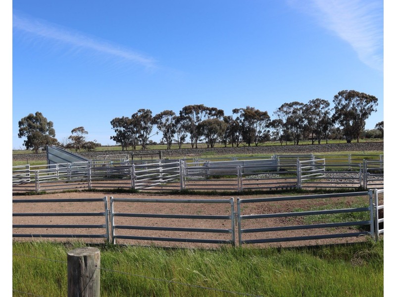 13 McPhail Road, Tragowel VIC 3579