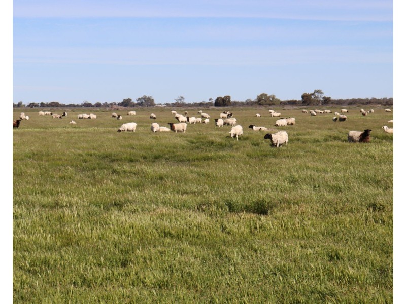 13 McPhail Road, Tragowel VIC 3579