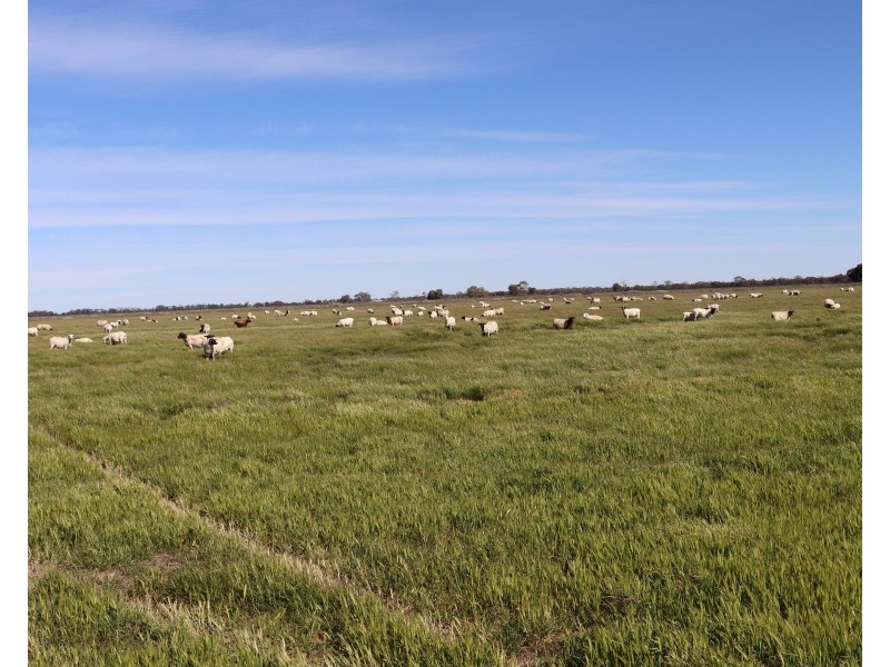 13 McPhail Road, Tragowel VIC 3579