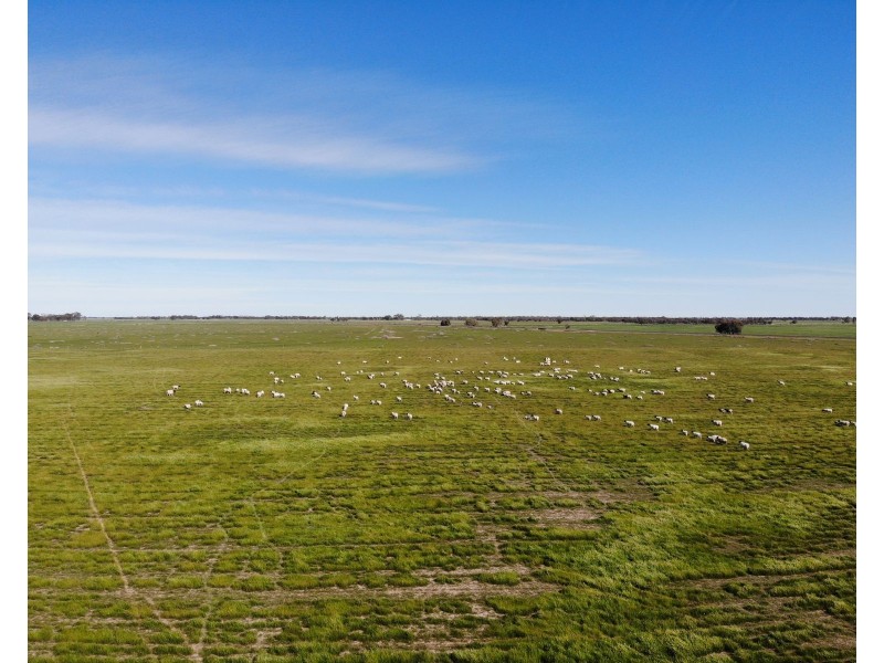 13 McPhail Road, Tragowel VIC 3579