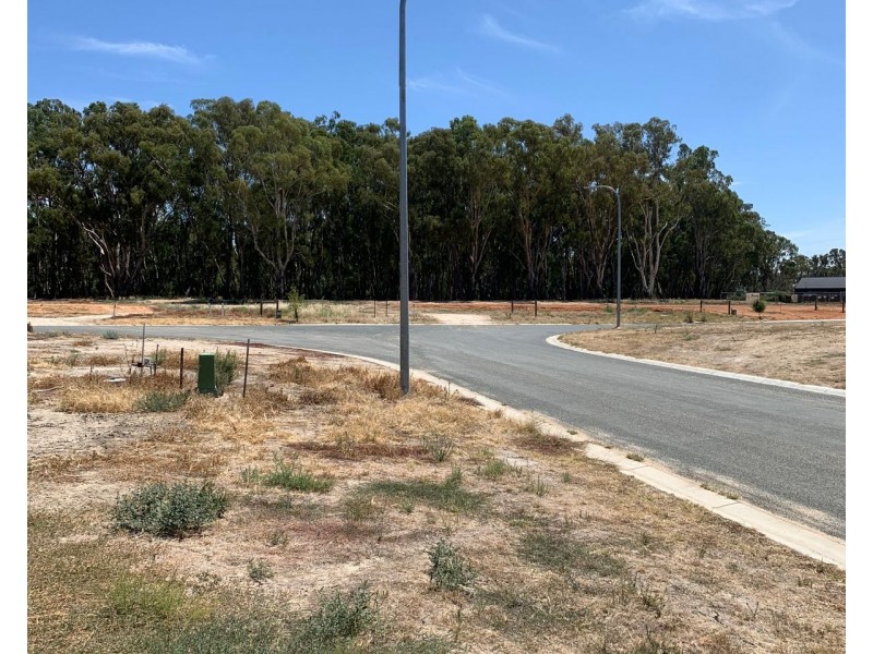 7 Armstrong Drive, Barham NSW 2732