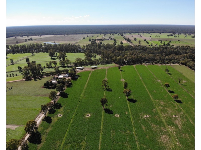 135 Kennedys Road, Cohuna VIC 3568