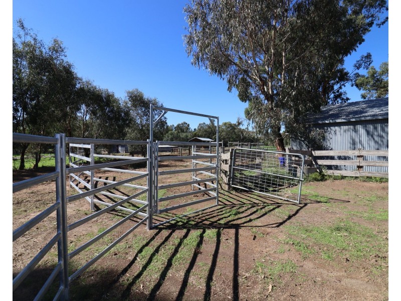 135 Kennedys Road, Cohuna VIC 3568