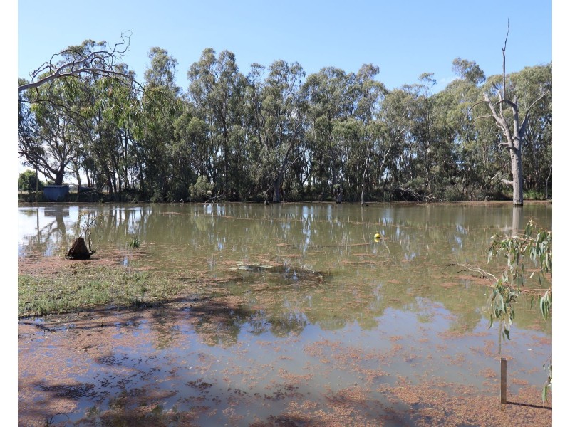 135 Kennedys Road, Cohuna VIC 3568