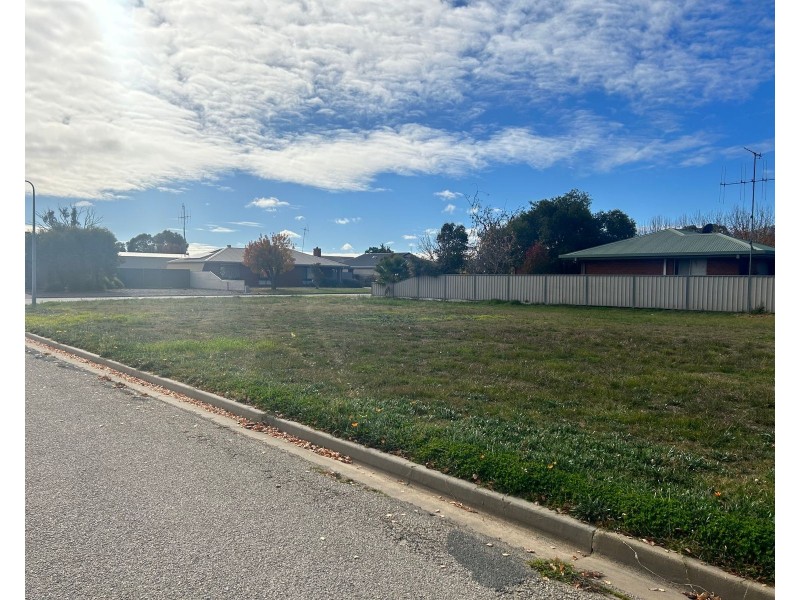 11 Linton Park Drive, Barham NSW 2732