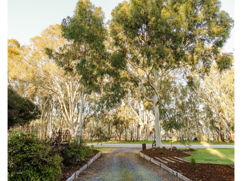 503 Cohuna Island Road, Cohuna VIC 3568