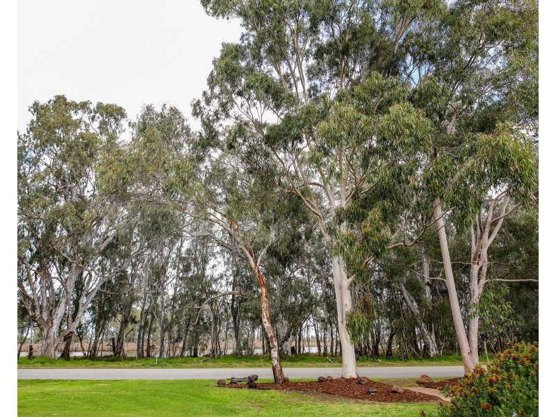 503 Cohuna Island Road, Cohuna VIC 3568