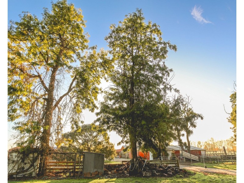 503 Cohuna Island Road, Cohuna VIC 3568