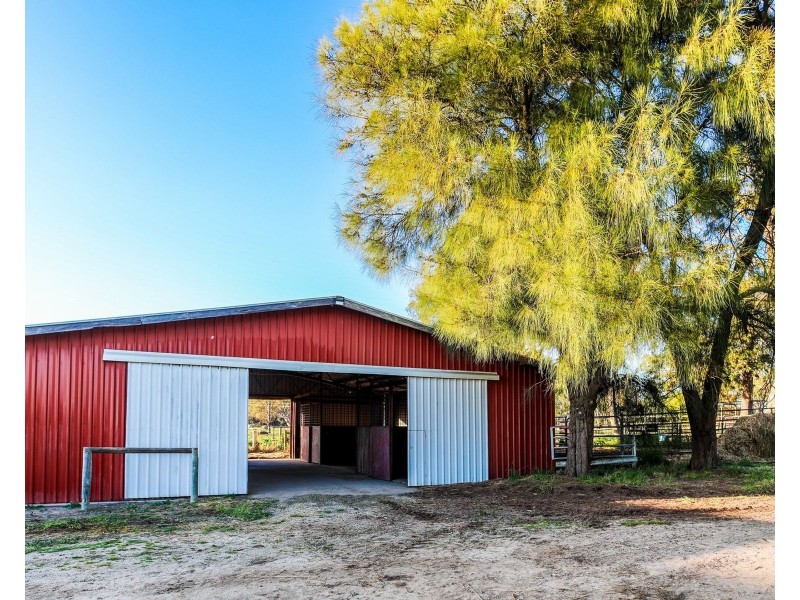 503 Cohuna Island Road, Cohuna VIC 3568