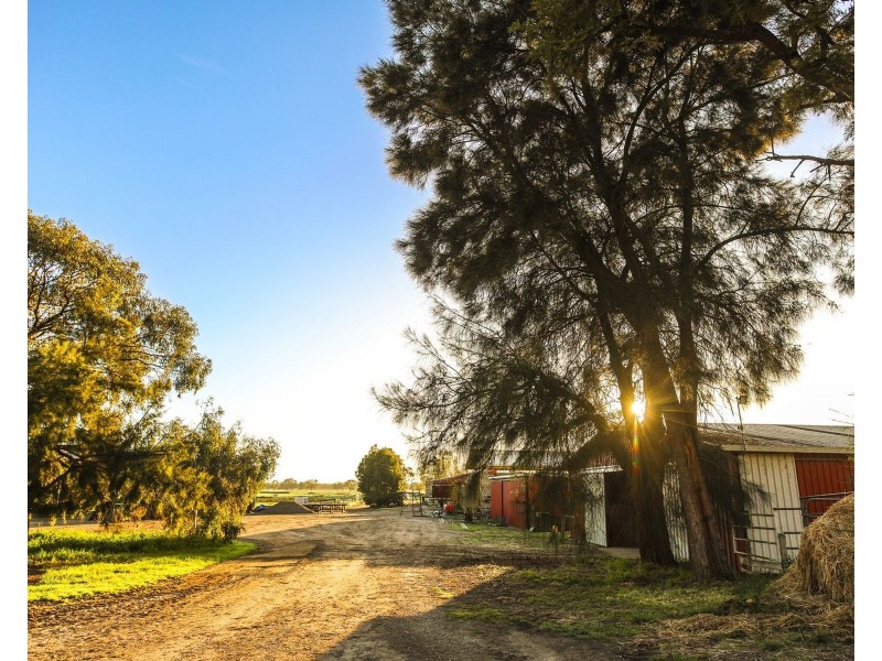 503 Cohuna Island Road, Cohuna VIC 3568