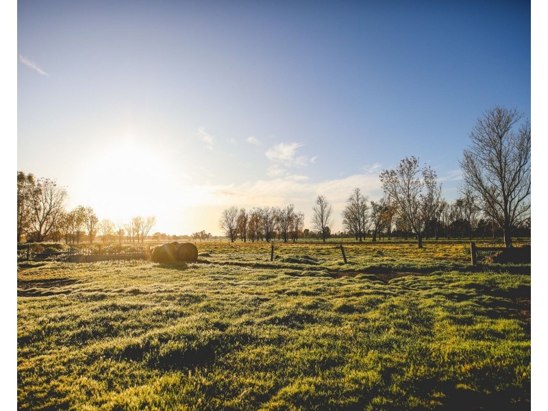 503 Cohuna Island Road, Cohuna VIC 3568