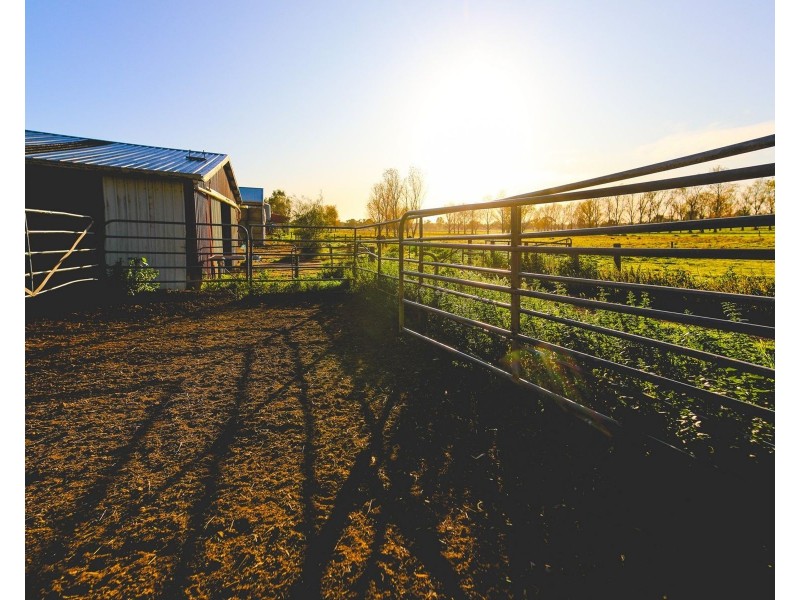 503 Cohuna Island Road, Cohuna VIC 3568