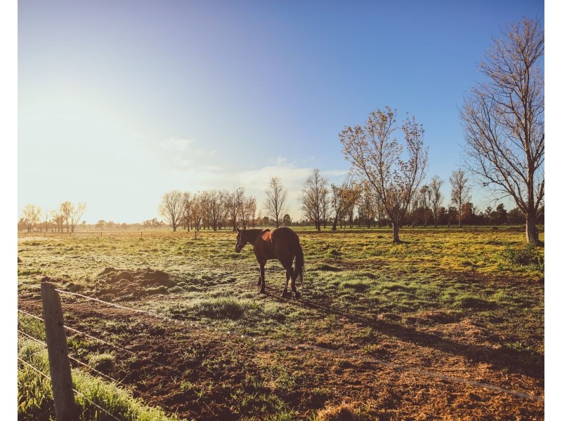 503 Cohuna Island Road, Cohuna VIC 3568