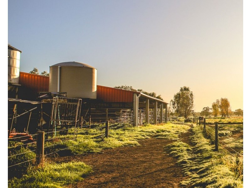 503 Cohuna Island Road, Cohuna VIC 3568